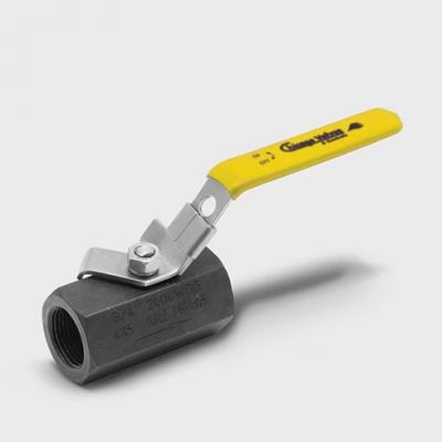 Series 10 One Piece Unibody Forged Ball Valve