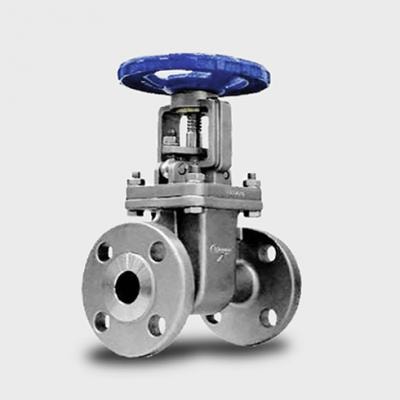 Series 216 316 SS Flanged Gate Valve
