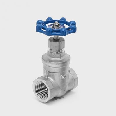 Series 226 316 SS Gate Valve, 200 WOG