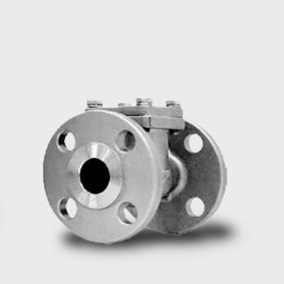 Series 416 316 SS Flanged Swing Check Valve
