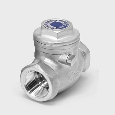 Series 426 316 SS Swing Check Valve, 200 WOG